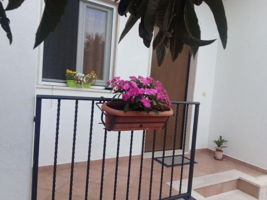 Casa Di Cristina Lägenhet Fiumicino Exteriör bild