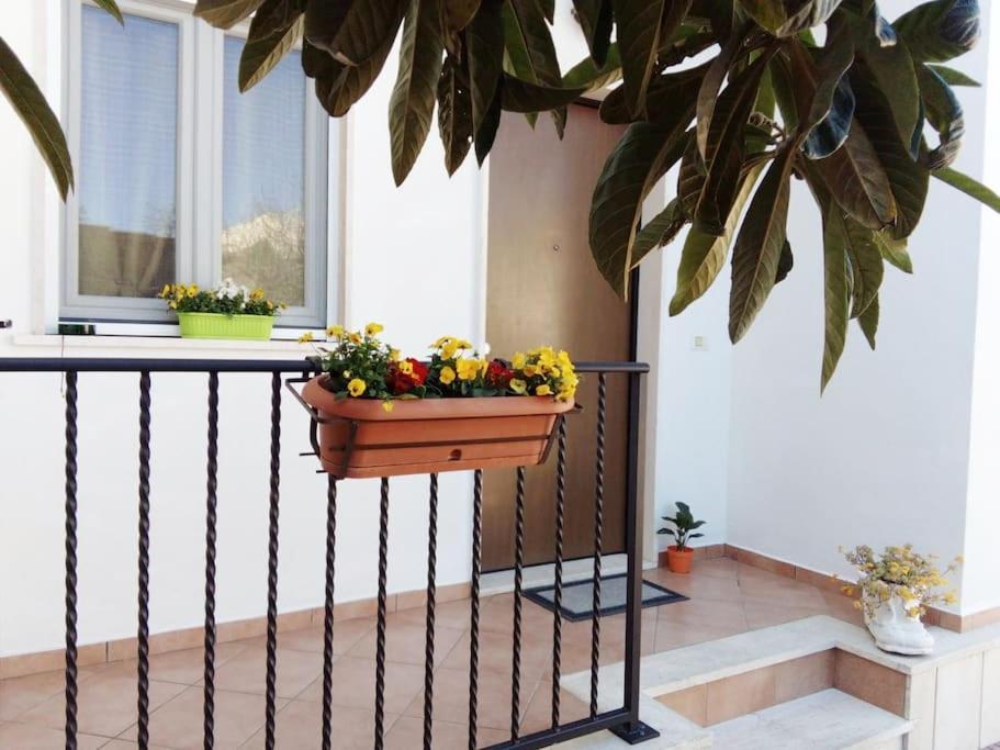 Casa Di Cristina Lägenhet Fiumicino Exteriör bild