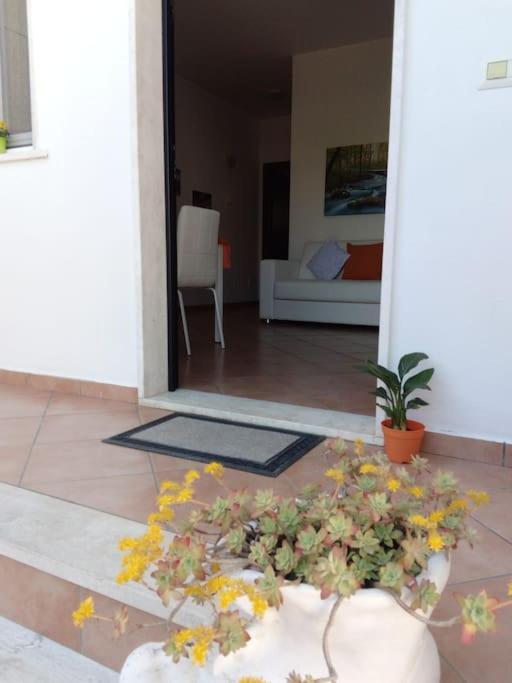 Casa Di Cristina Lägenhet Fiumicino Exteriör bild