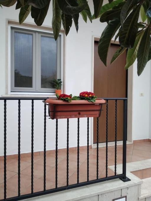 Casa Di Cristina Lägenhet Fiumicino Exteriör bild